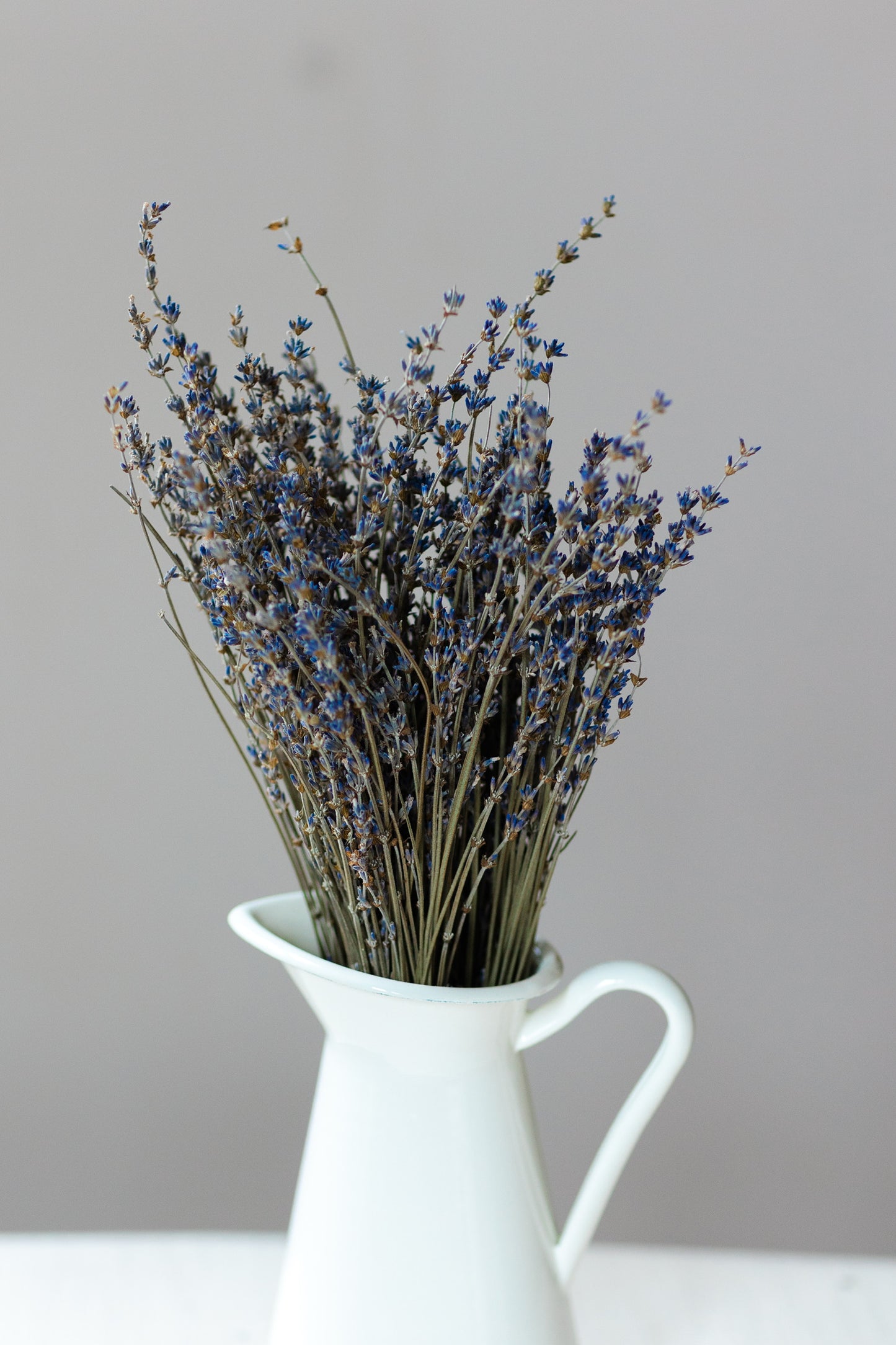 Dried Lavender Bundle - Maillette farm fresh, traditional French lavender, 12”-16” height