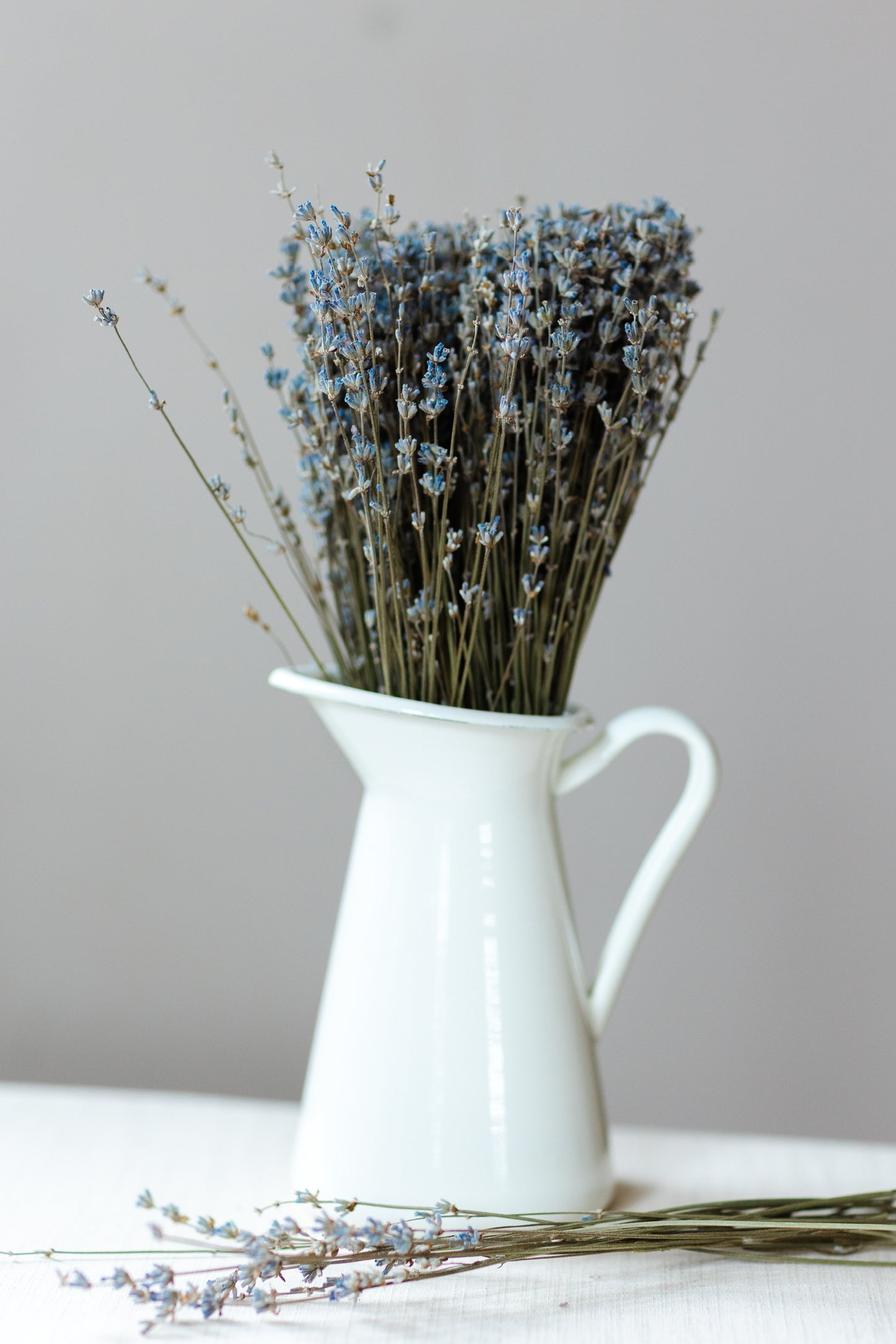 Twickle Purple dried lavender bundle