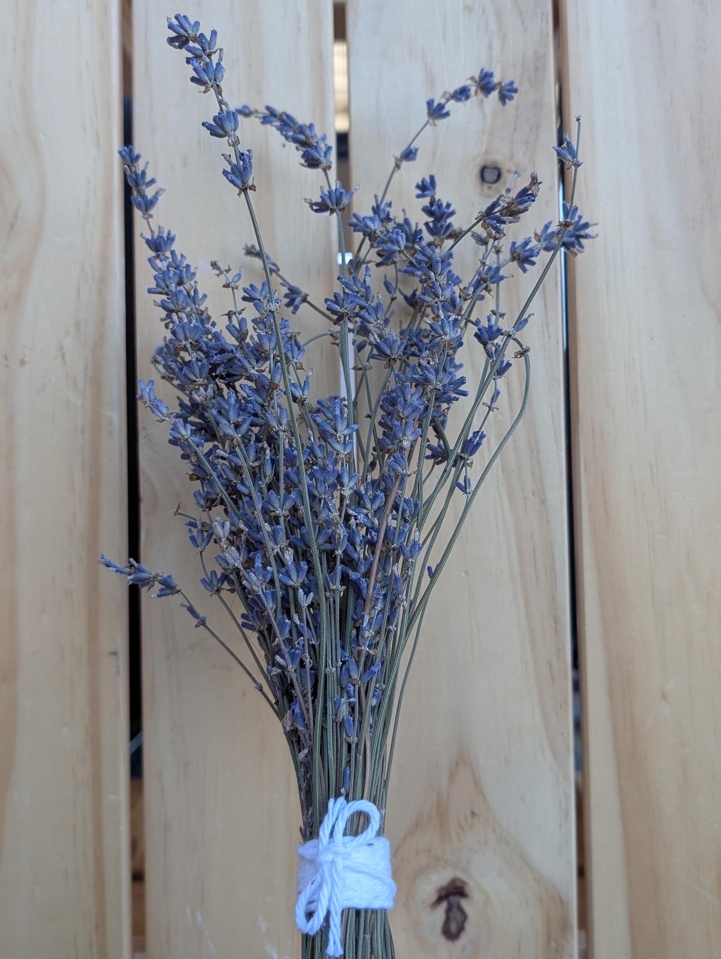 Dried Lavender Bundle - 50+ stems light purple-blue color, 9-14 inch height