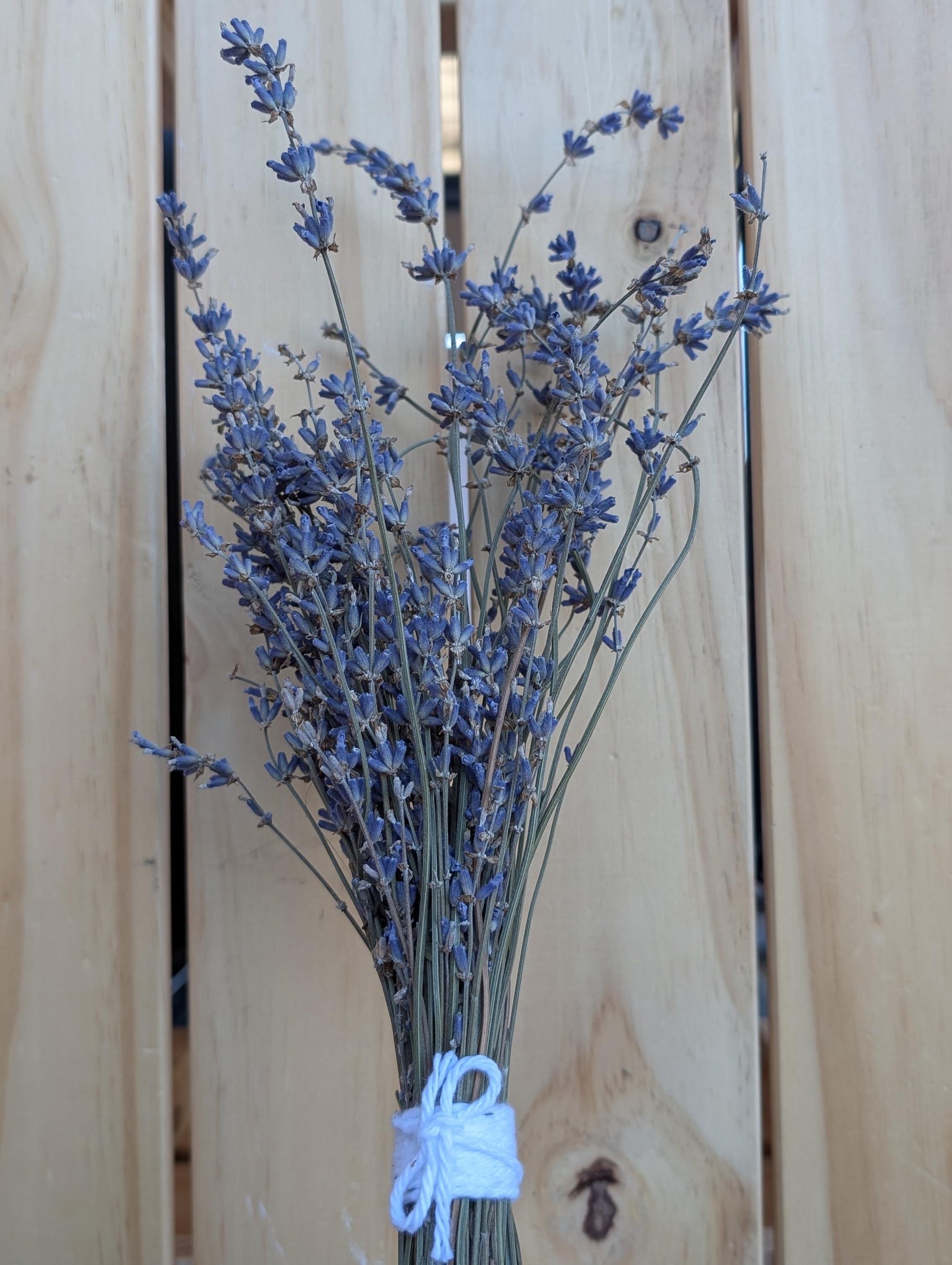 Dried Lavender Bundle - 50+ stems light purple-blue color, 9-14 inch height