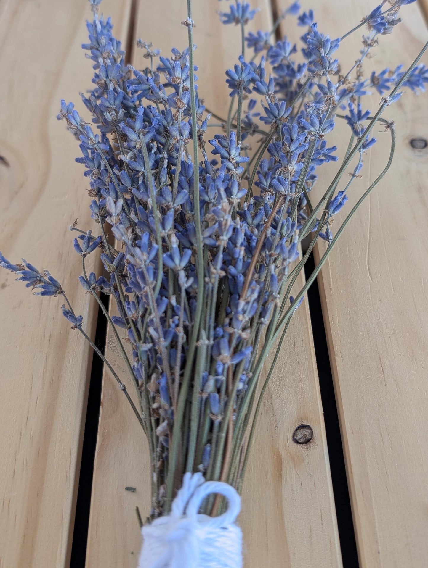 Dried Lavender Bundle - 50+ stems light purple-blue color, 9-14 inch height