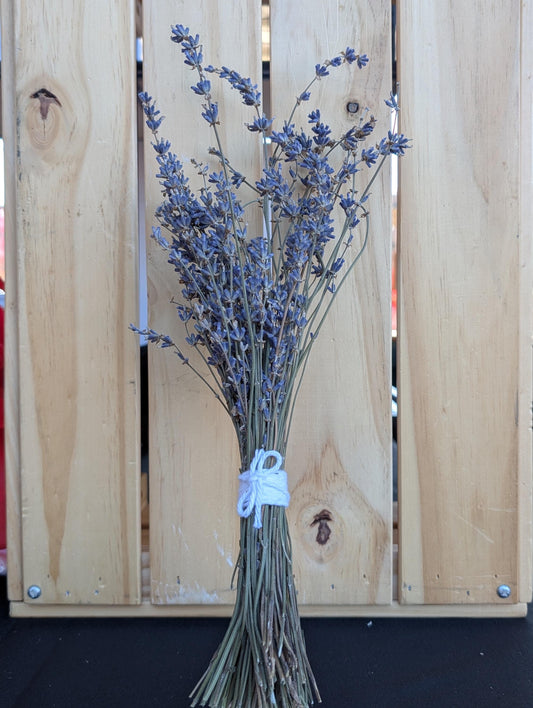 Dried Lavender Bundle - 50+ stems light purple-blue color, 9-14 inch height