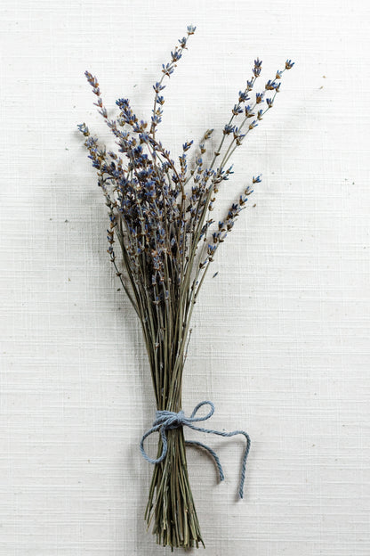 Maillette dried lavender bundle