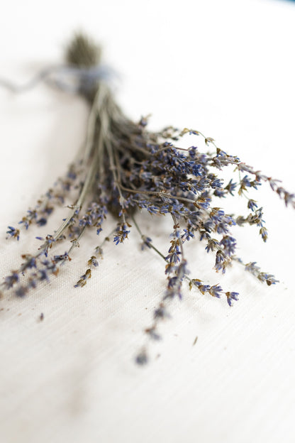 Maillette dried lavender bundle