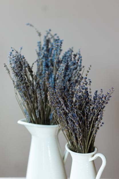 Silver Frost dried lavender bundle