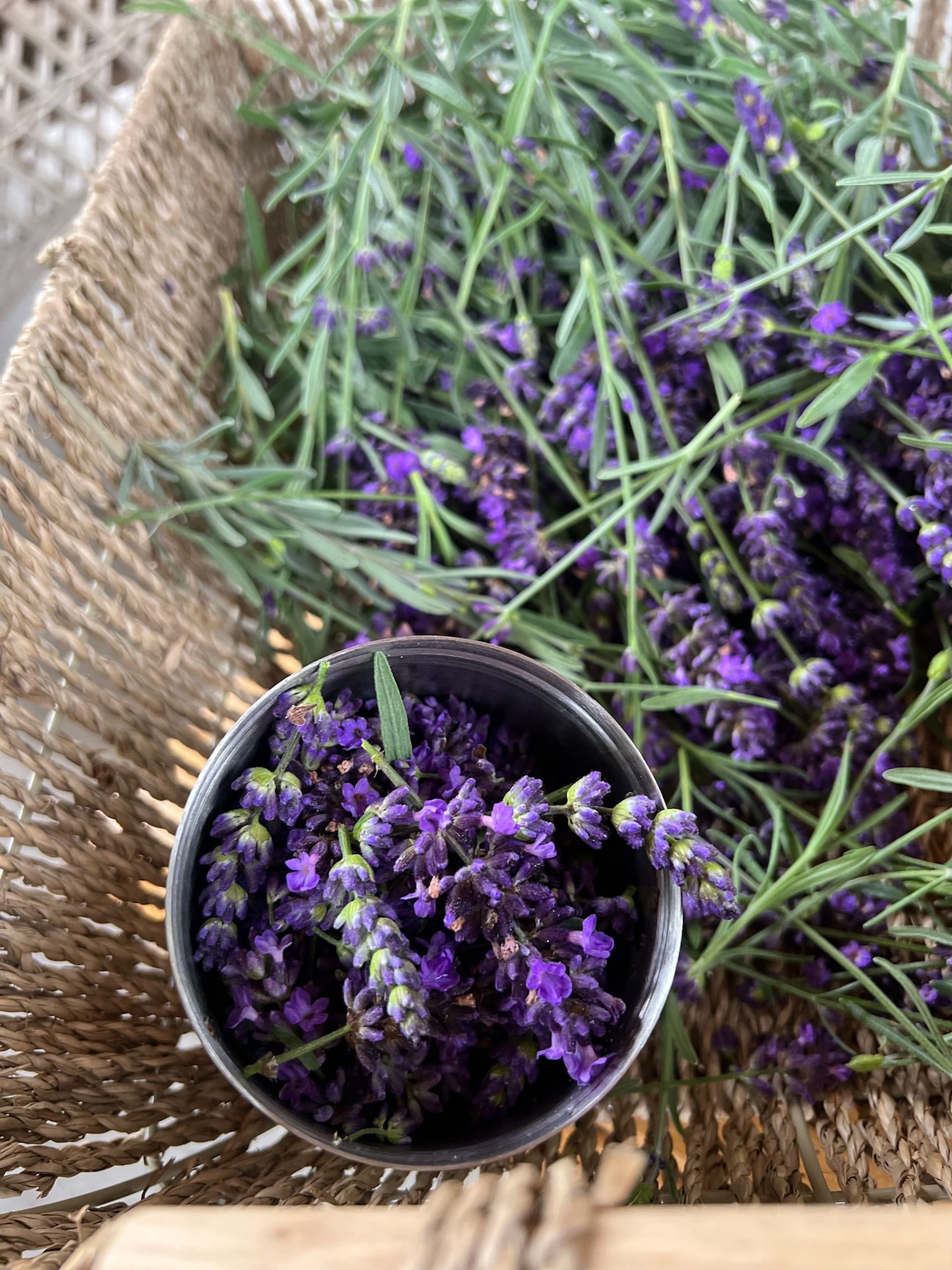 Culinary – Plainly Elegant Lavender