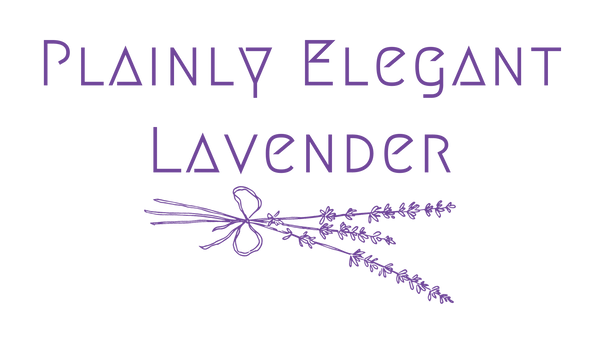 Plainly Elegant Lavender