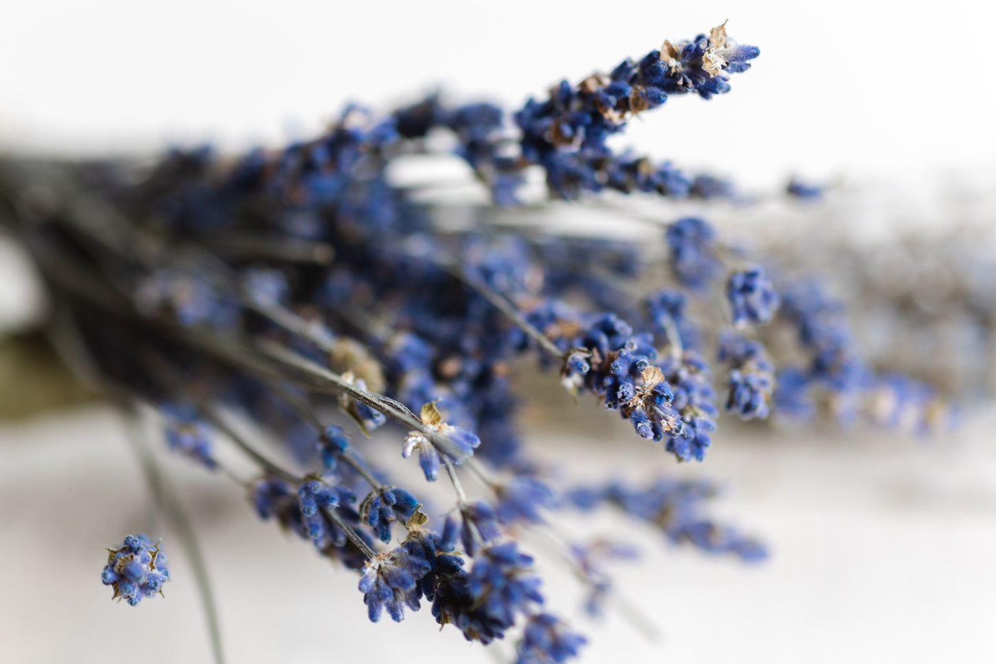 Big Time Blue dried lavender bundle