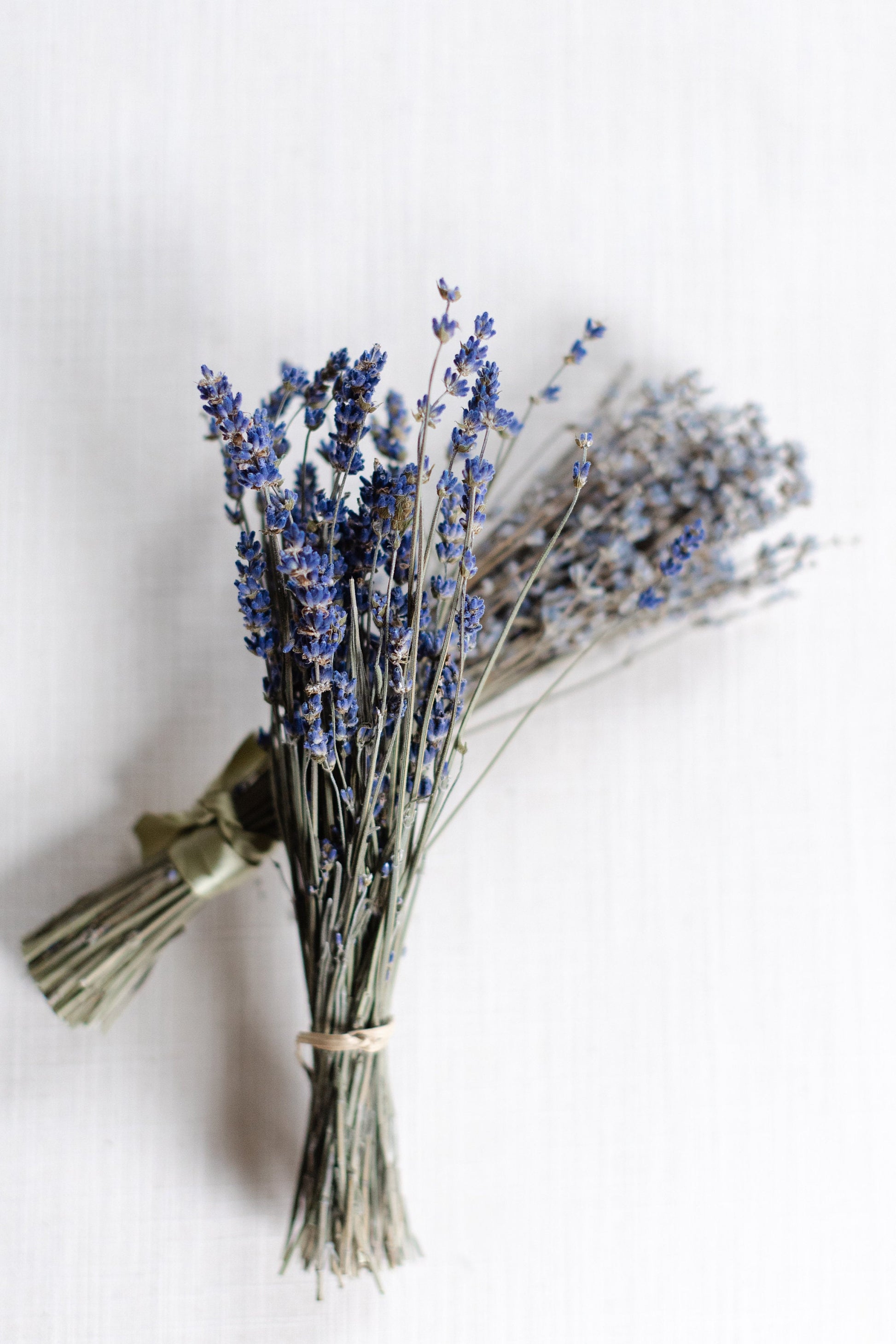 Big Time Blue dried lavender bundle