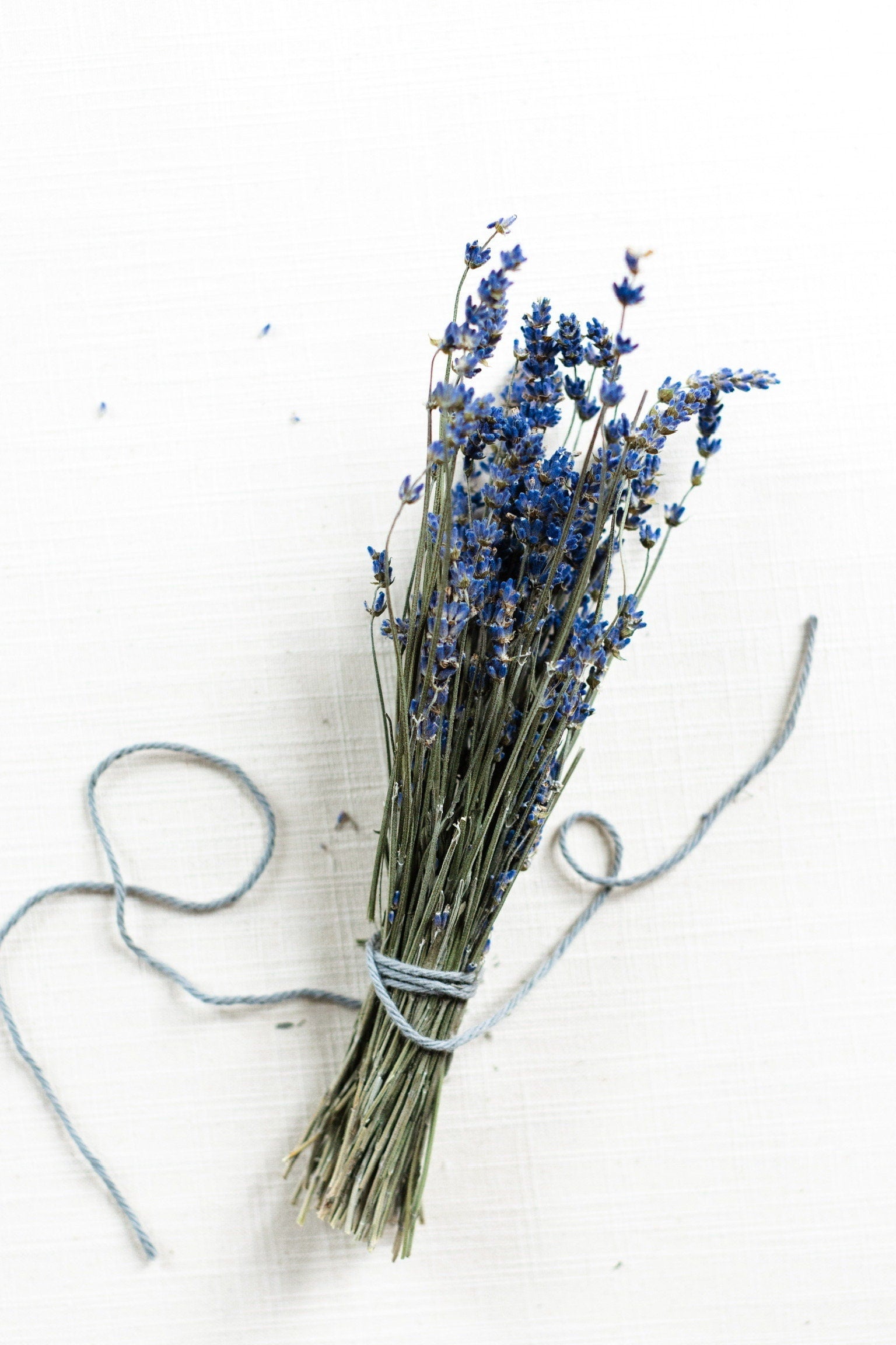 Big Time Blue dried lavender bundle