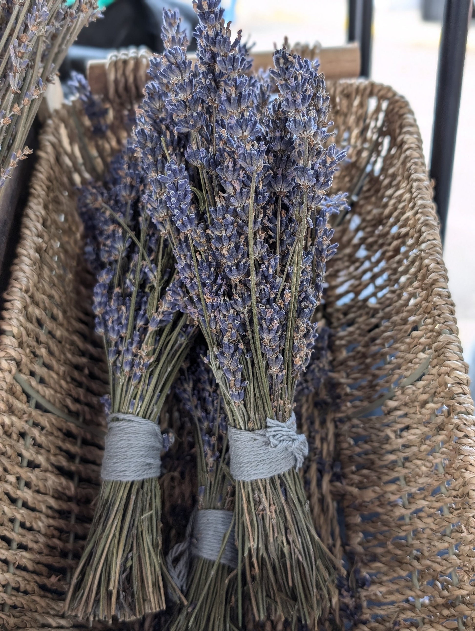 Big Time Blue dried lavender bundle