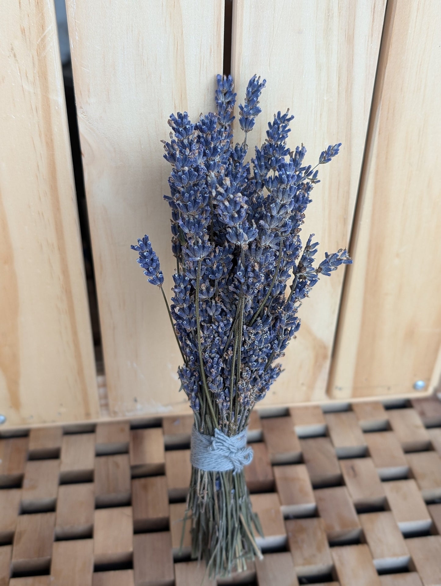 Big Time Blue dried lavender bundle