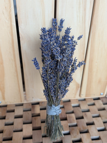 Big Time Blue dried lavender bundle