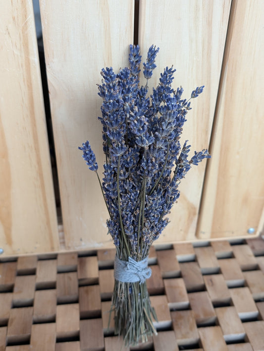 Big Time Blue dried lavender bundle